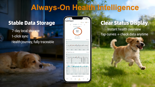 Pet Health Tracker